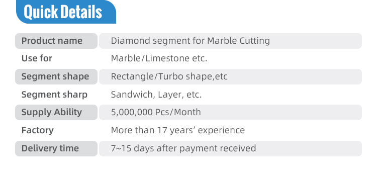 Multi Purpose Diamond Cutting Segment Tip 24x8x13mm Diamond Segments for Marble Sale