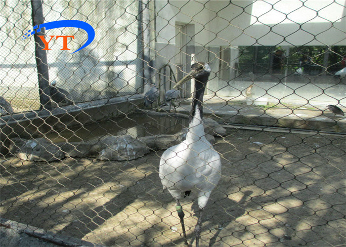 SS304 316 Aviary Wire Mesh Versatile Cable Bird Netting Mesh