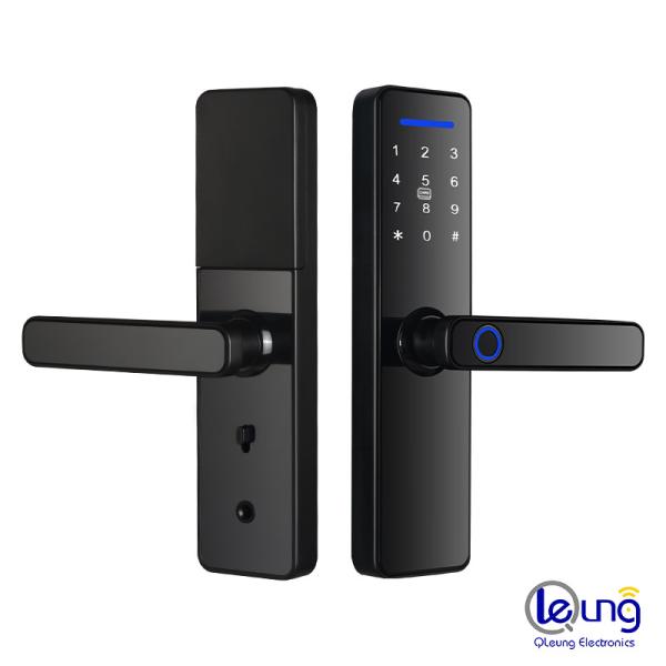Quality CE RoHS Biometric Fingerprint Door Lock Works With Password IC Card Key Smart APP for sale
