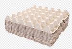 Paper Pulp Molded Reciprocating Type Egg Box Machine with 2400Pcs/H