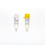 P2801-6 Direct Multiplex Probe Master Mix For Real Time PCR 1ml