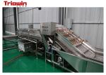 Garlic Paste Processing Line Fruit And Vegetable Processing Line Garlic