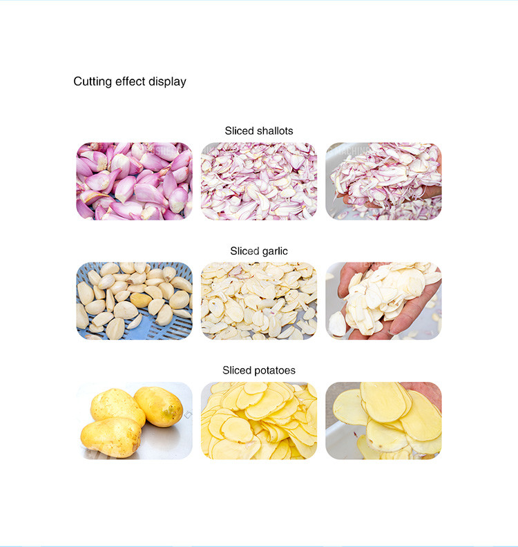 Multifunction Onion Slicer Vegetable Cutting Machine 100KG/H Capacity