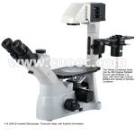 LED Inverted Fluorescence Microscope with Kohler Illumination A14.0900