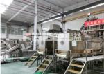 Fully Automatic Garlic Processing Line Slicer Powder Drying Processing Line