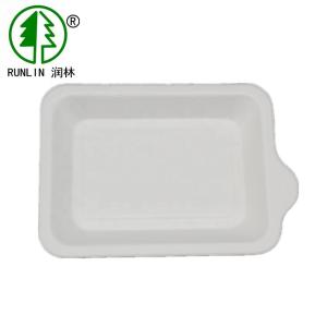 China Recyclable rectangular shape tray eco-friendly birthday party tray on sale