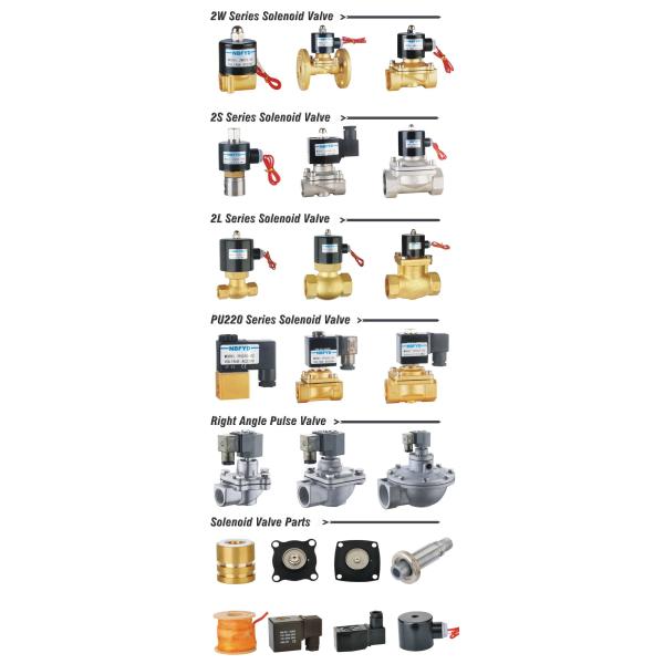 Air Water Oil Gas Medium Brass Solenoid Valve For Gas Heater Burner