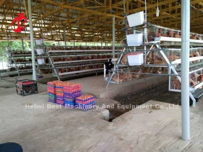 Manure Removal Machine With 2 Or 3 Scrapers For Automatic Manure Cleaning System Doris Shi