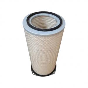 China 0.0061m3 Air Filter Engine Truck Filters OEM 1665563 on sale