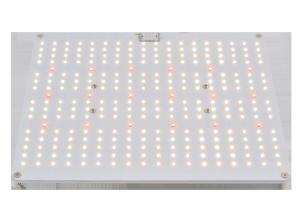 UL 100W Aluminum Alloy High PPFD Grow Light