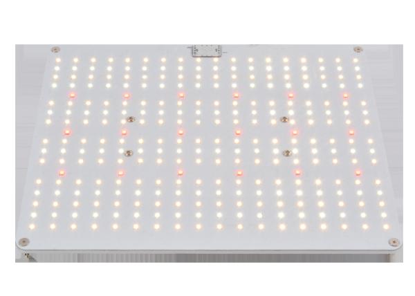Quality UL 100W Aluminum Alloy High PPFD Grow Light for sale