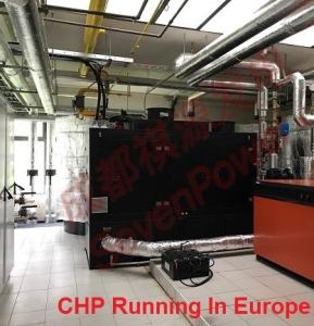 Continuous 50Hz 100KW Natural Gas Generator