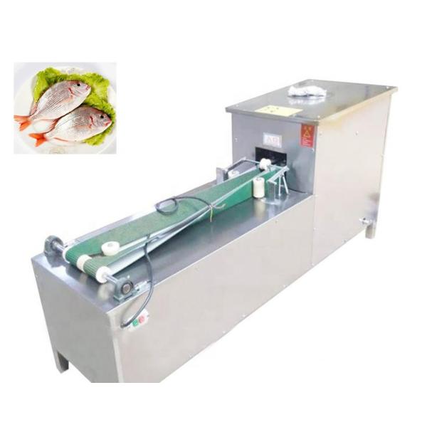 Small Tilapia Fish Processing Machine