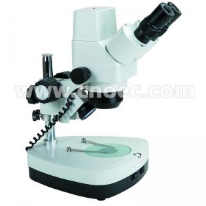 China 10X-40X Digital Stereo Microscope A32.1202 With Halogen Lamp And Coarse Focusing on sale