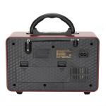 Pure FM Handheld Radio Player With Bluetooth Remote Control OEM