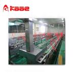 Automatic Orange Cell Making Machinery Automatic Juicer Machine