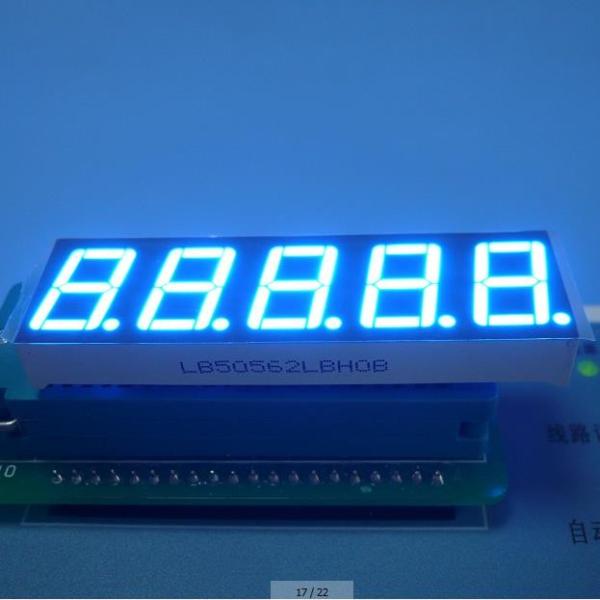 Ultra Blue 5 Digit 7 Segment Display Eco Friendly Custom 100 mcd 0.56"