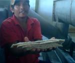 Belt Press Cassava Flour Processing Machine / Cassava Flour Processing Plant