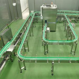 Customized Chain Conveyors Systems Belt Transfer