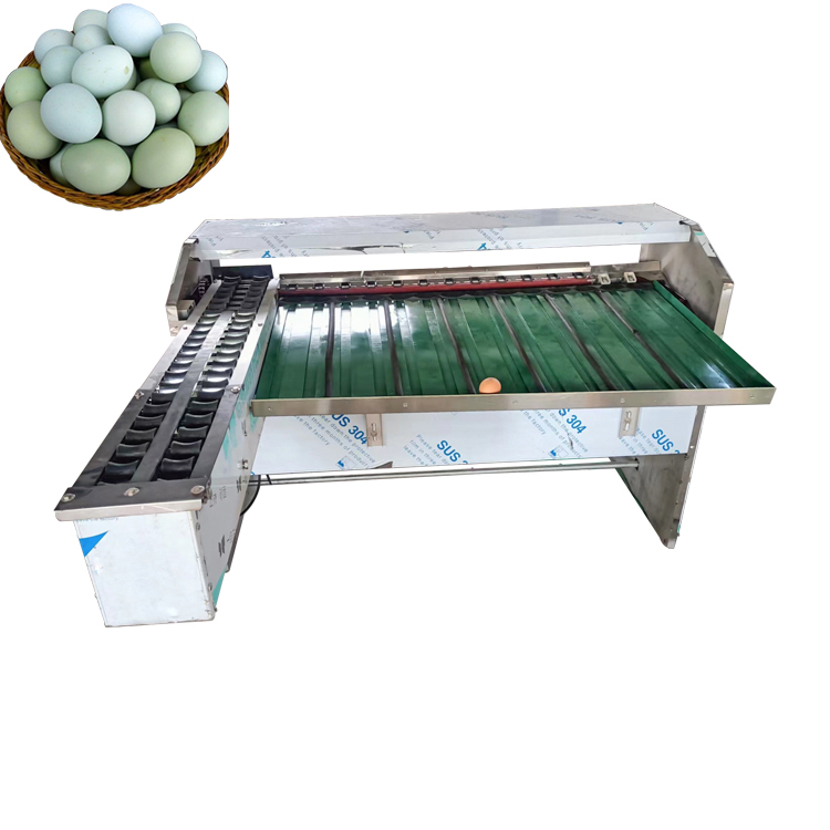 Egg Grade Machine Egg Sort Machine Egg Grader Egg Grader Machine