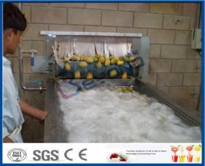 Pineapple Mango Processing Line , Fruit Juice Mango Pulp Processing Plant
