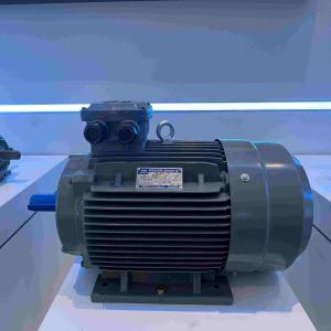 China Medium And High Voltage Induction Motors 6KV Waterproof on sale
