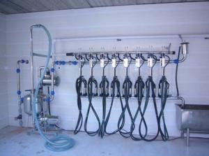 Fish bone Pipeline Herringbone Milking System 4KW 380V / 50Hz