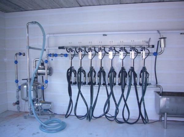 Quality Fish bone Pipeline Herringbone Milking System 4KW 380V / 50Hz for sale