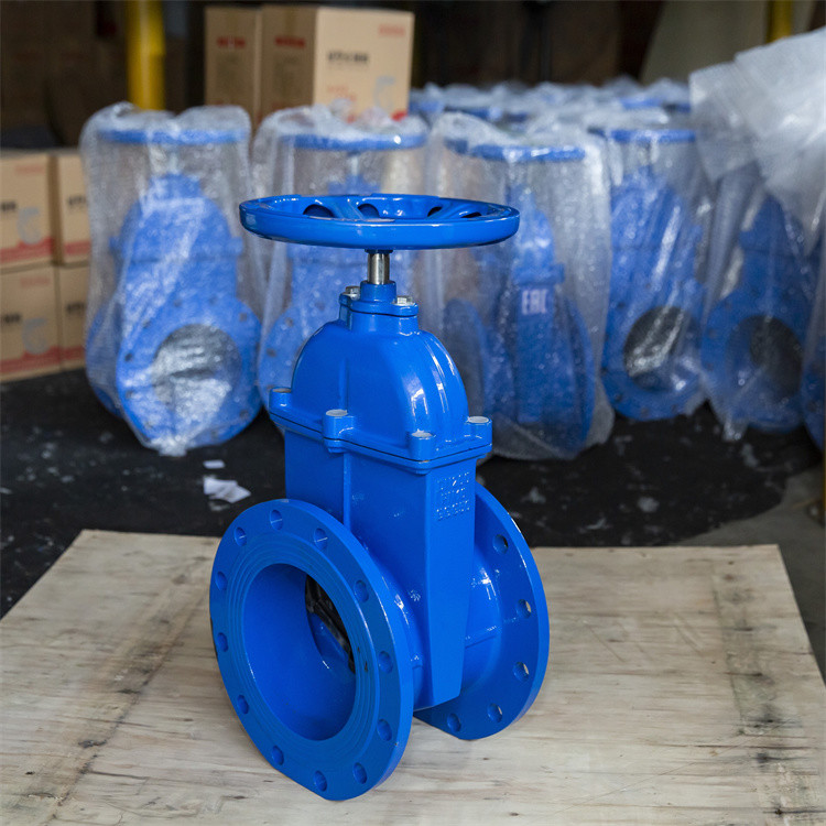Ggg50 Dn100 Ductile Iron Din F4 Resilient Seated Gate Valve Non Rusting