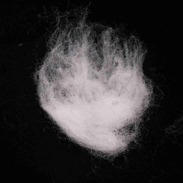 Quality Packing Material 51mm PE/PP ES Fiber White Artificial Flame Retardant Fiber for sale