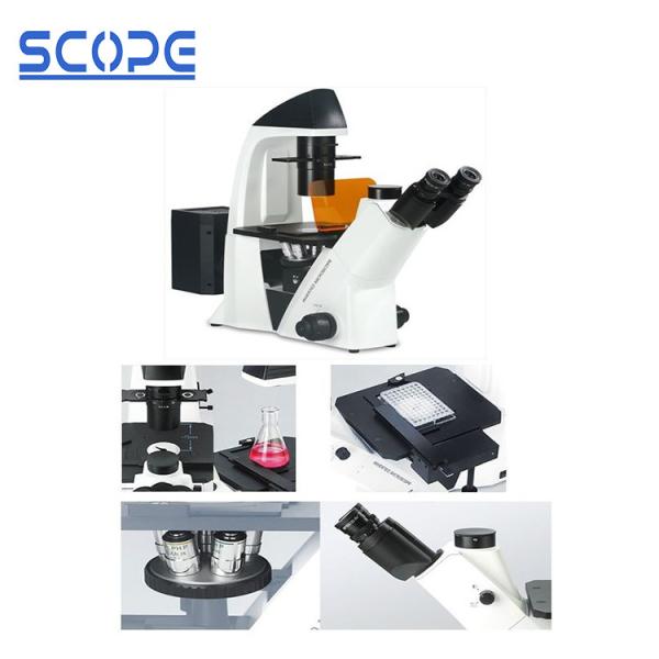 Quality BDS400-FL Inverted Biological Microscope Epifluorescence Illumination for sale