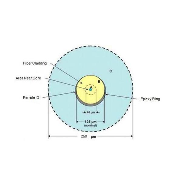 Fiber Optic Patch Cord Simplex And Duplex