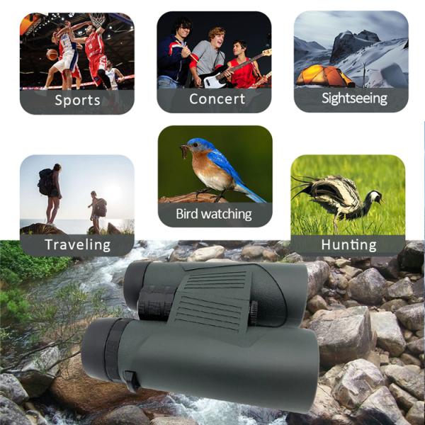 10x42 Extra Low Dispersion Glass Binoculars With Anti Reflective Coating