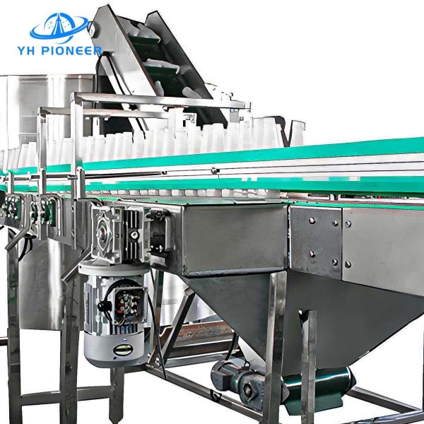 Quality Hygienic Design Pressureless Bottle Transport Conveyor With Enhanced Friction Materials for sale