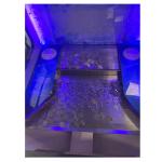 Practical Stable Coin Pusher Machine Game Multipurpose For Club