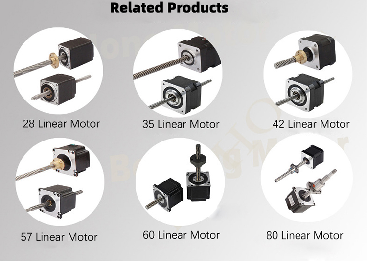 Customizable Servo Stepper Motor Open Loop With Driver Controller