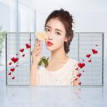 See Thru Transparent Led Display Board Mirror Large Building Curtain