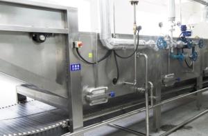 Buy cheap Fruit And Vegetable Washer Machine , Vegetable Processing Unit Intelligent Operation product
