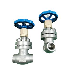 Buy cheap DN25 PN40 Cryogenic Globe Valve With Socket Weld Ends product