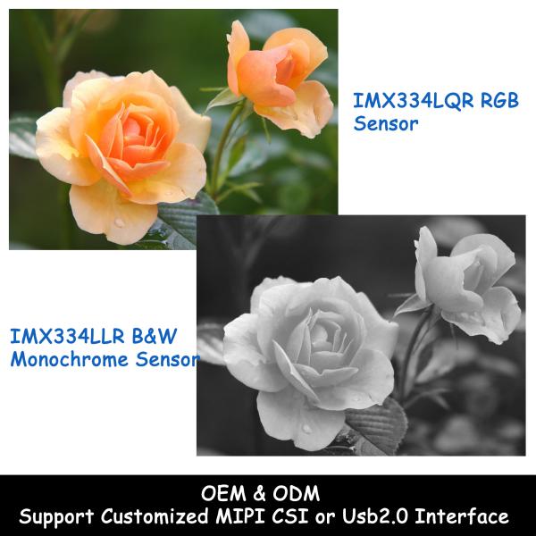 IMX334 8MP 4K 60fps Camera Module MIPI High Speed ​​CMOS Image Sensor Camera Module