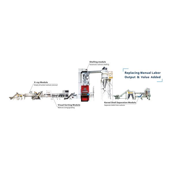 1 Ton Output 380V Walnut Shelling Machine Auto Production Line With CE Certification