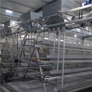 China Stable Automatic Chicken Feeder System , Highly Efficient Poultry Feed Machine on sale