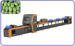 Computer Control Mango Sorting Machine 18.65KW 4 Channel Intelligent