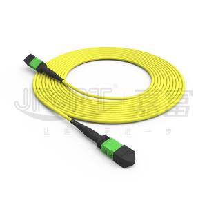 MPO Conncetor 12 Cores SM Standard Loss/Low Loss Fiber Patch Cord for Superior Performance