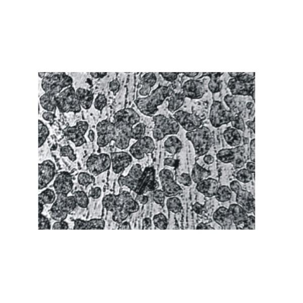 Coaxial Adjustable Brightness And Plan Achormatic Inverted Metallurgical Microscope