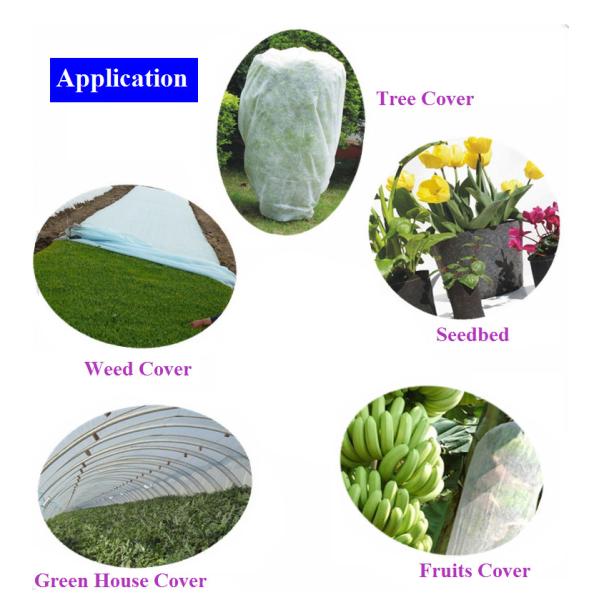 PP Spun bonded & Nonwoven Fabric