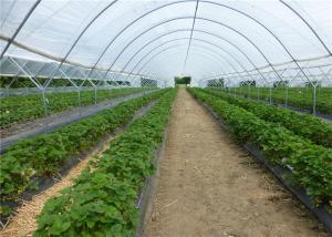 Buy cheap 100% New HDPE Agricultural Anti Insect Mesh Netting For Tomato And Cabbage Greenhouse product