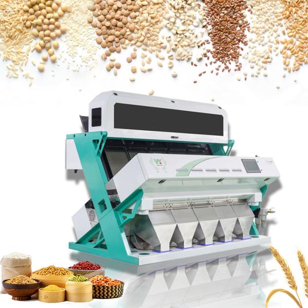 Quality Beans Nuts Seeds Peanut Lentil Color Sorter Intelligent Multipurpose for sale