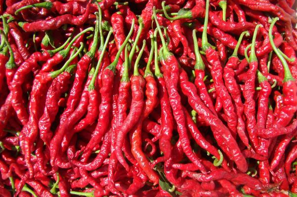 Quality Fresh Chili Pepper Suace Fruit And Vegetable Processing Line Automatic for sale