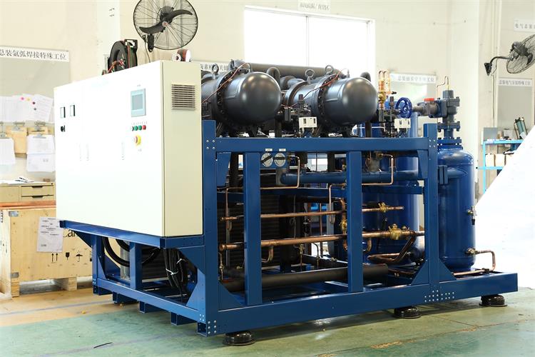 Walk In Freezer Compressor Rack 1200kg-1900kg With 2 Years Warranty